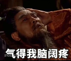 气得我脑阔疼 三国演义 影视追剧 搞笑表情 四大名著