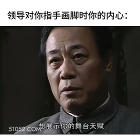 领导对你指手画脚时你的内心 潜伏 影视追剧 搞笑表情 打工人版