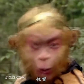 住嘴 西游记 影视追剧 搞笑表情 猪八戒 沙和尚