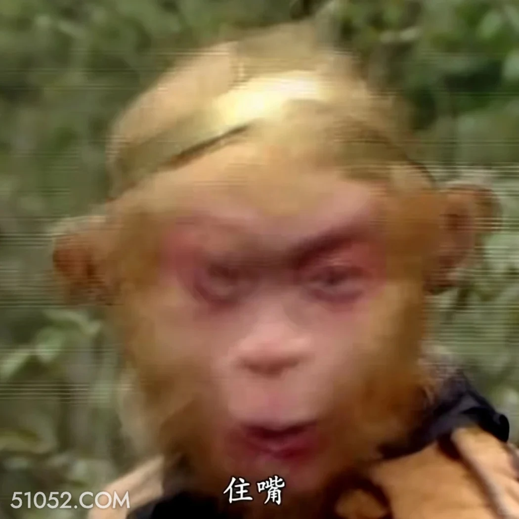 住嘴 西游记 影视追剧 搞笑表情 猪八戒 沙和尚