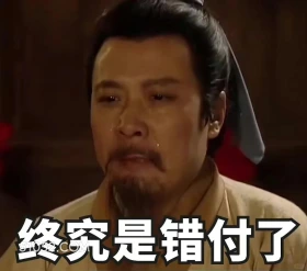 终究是错付了 三国演义 影视追剧 搞笑表情 四大名著