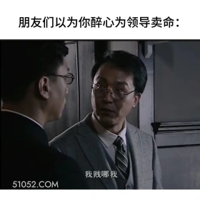 朋友们以为你醉心为领导卖命 潜伏 影视追剧 搞笑表情 打工人版