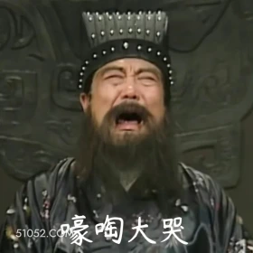 嚎啕大哭 三国演义 影视追剧 搞笑表情 名著 桃园结义