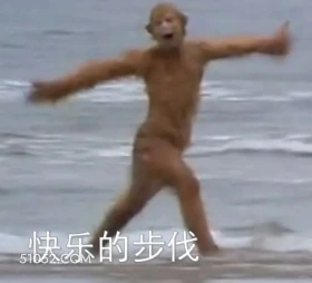 快乐的步伐 西游记 影视追剧 搞笑表情 猪八戒 沙和尚