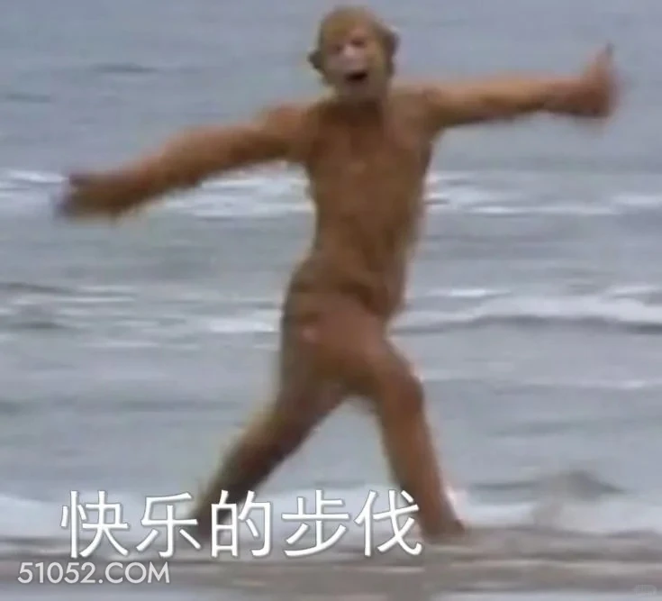 快乐的步伐 西游记 影视追剧 搞笑表情 猪八戒 沙和尚
