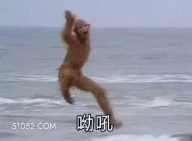 西游记 西游记 影视追剧 搞笑表情 猪八戒 沙和尚