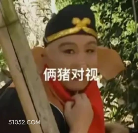 俩猪对视 西游记 唐僧 孙悟空 猪八戒 沙和尚