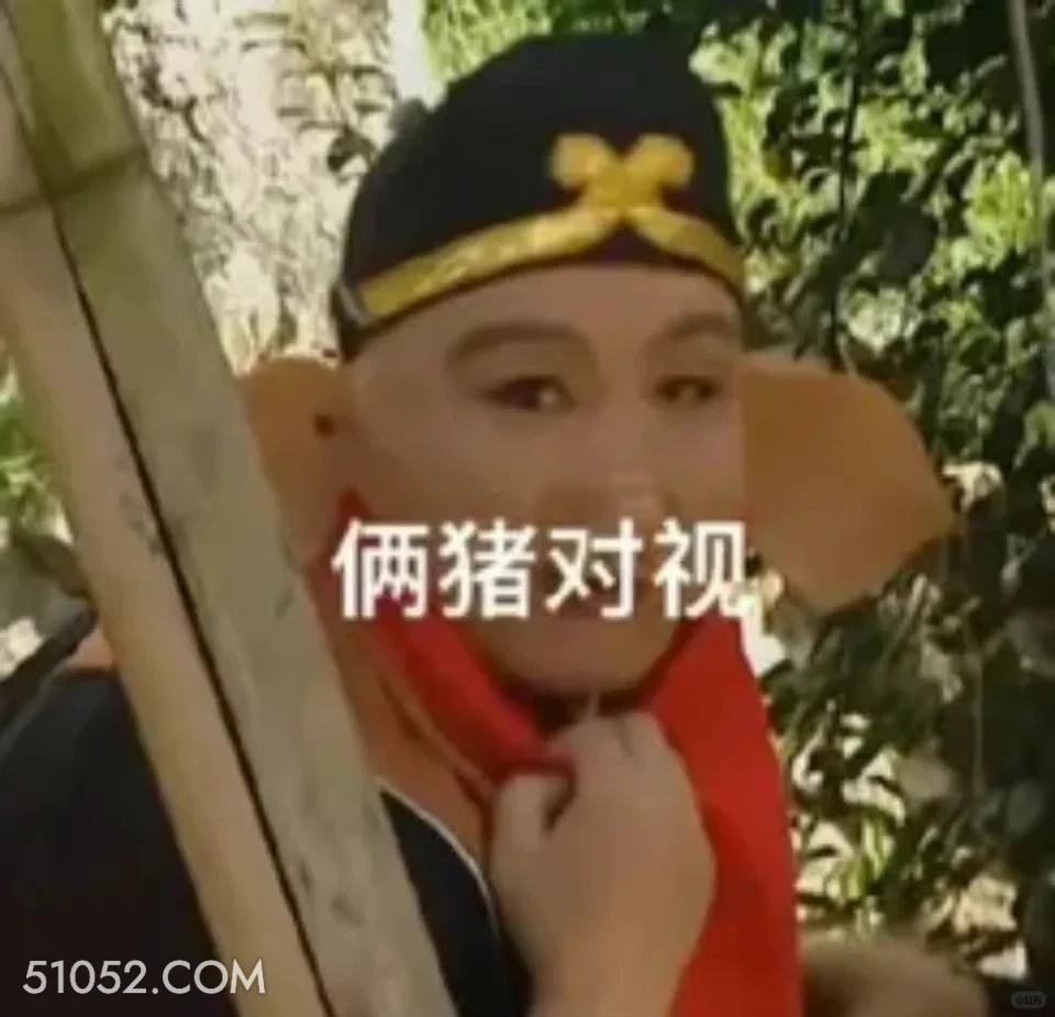 俩猪对视 西游记 唐僧 孙悟空 猪八戒 沙和尚