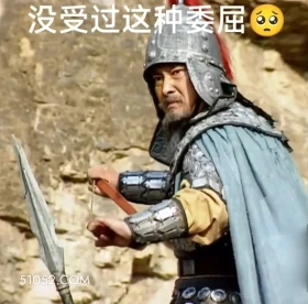 没受过这种委屈 三国演义 影视追剧 搞笑表情 桃园三兄弟