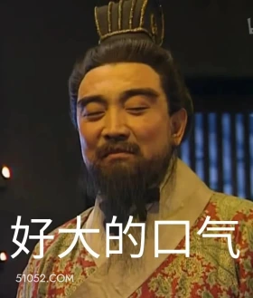 好大的口气 三国演义 影视追剧 搞笑表情 东汉末年