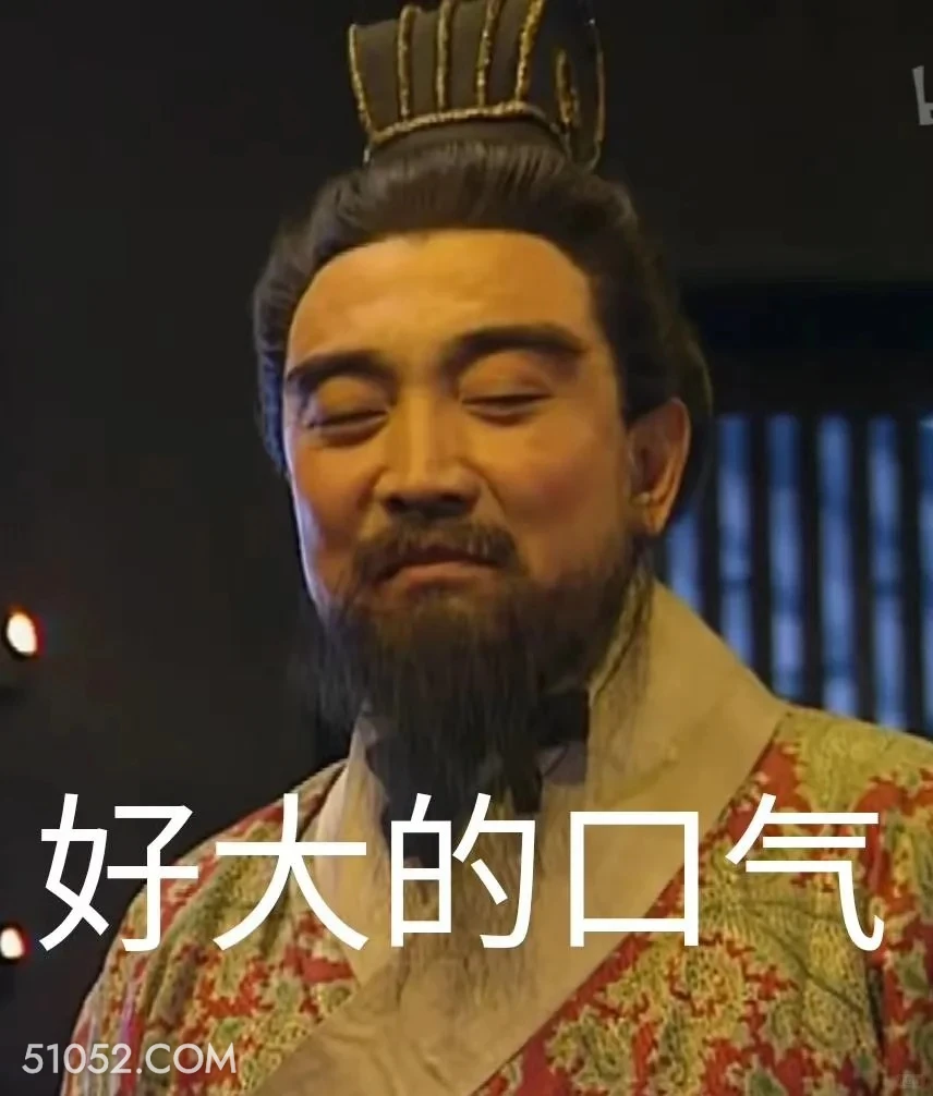 好大的口气 三国演义 影视追剧 搞笑表情 东汉末年