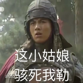 这小姑娘骇死我了 三国演义 影视追剧 搞笑表情 桃园三兄弟