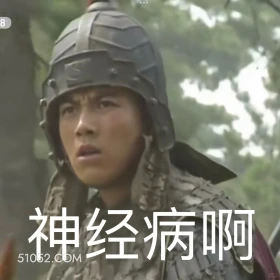 神经病啊 三国演义 影视追剧 搞笑表情 名著 桃园结义