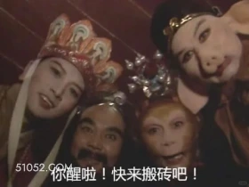 你醒啦，快来搬砖 西游记 影视追剧 搞笑表情 猪八戒 沙和尚