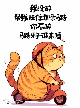 我没醉,帮我扶住那条马路 猫猫 喝酒 发朋友圈 搞笑文案
