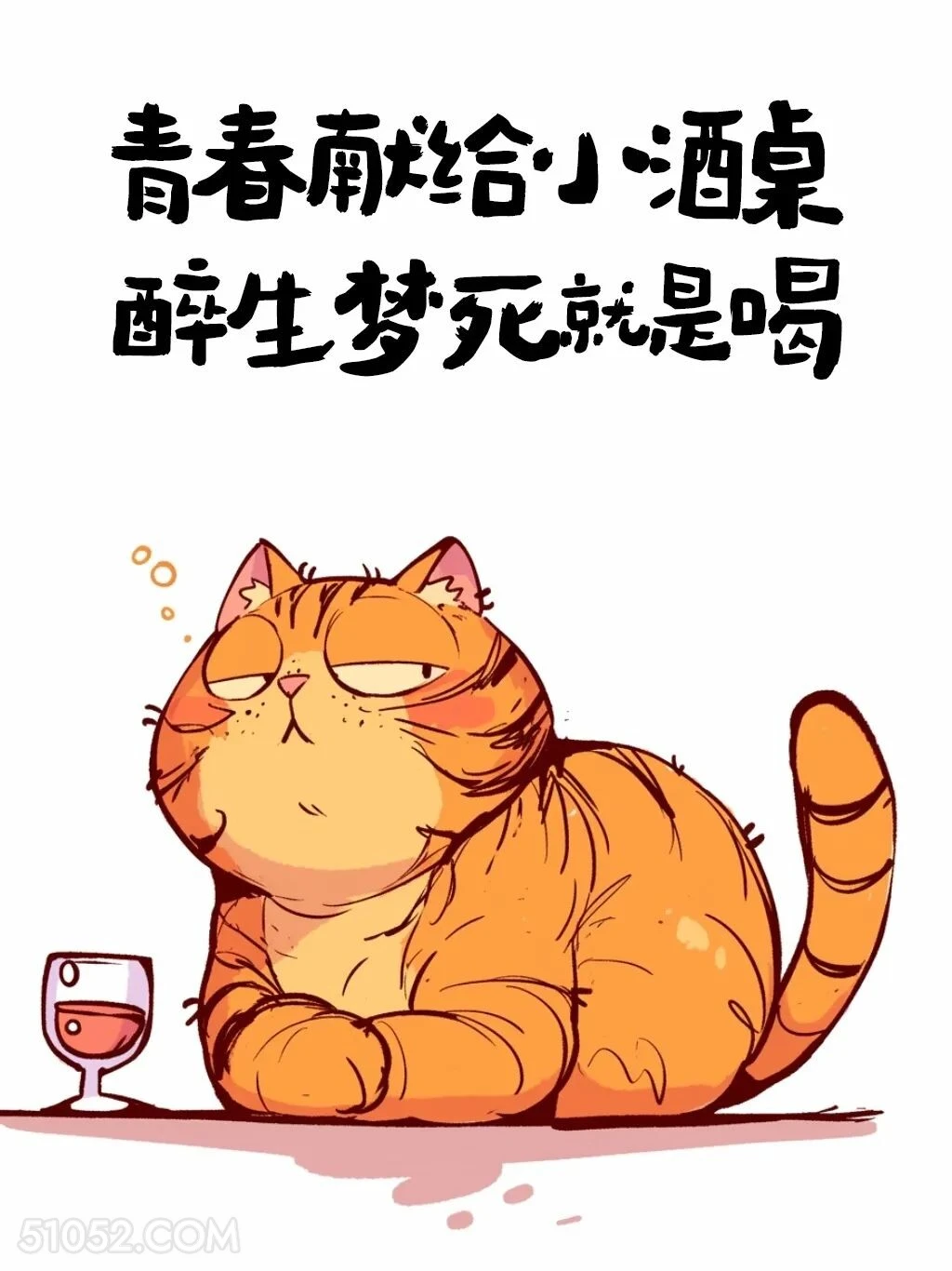 青春献给小酒桌 猫猫 喝酒 发朋友圈 搞笑文案