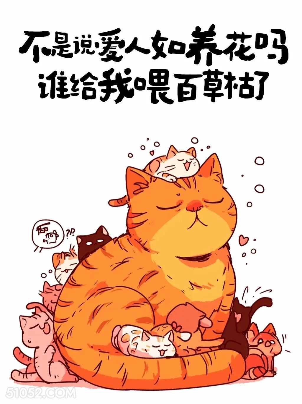 谁给我喂敌敌畏百草枯了 猫猫 加好友 搞笑文案