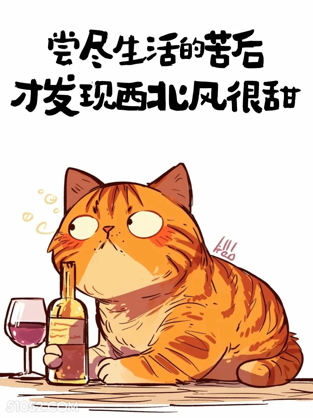 尝尽生活的苦后才发现西北风很甜 猫猫 发朋友圈 搞笑文案
