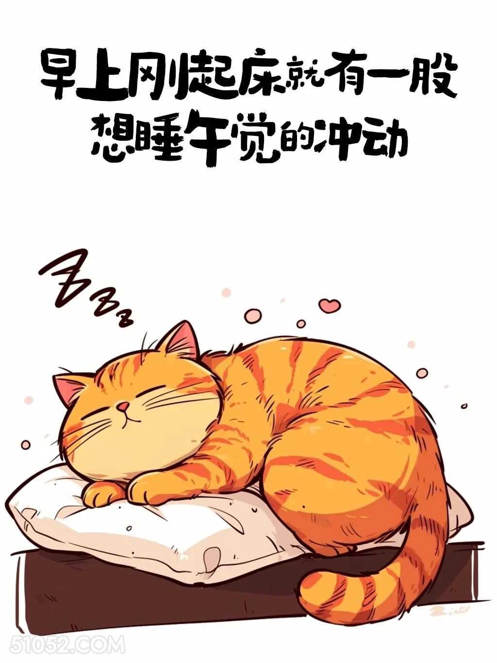 早上刚起床就想睡午觉 猫猫 有梗 搞笑文案