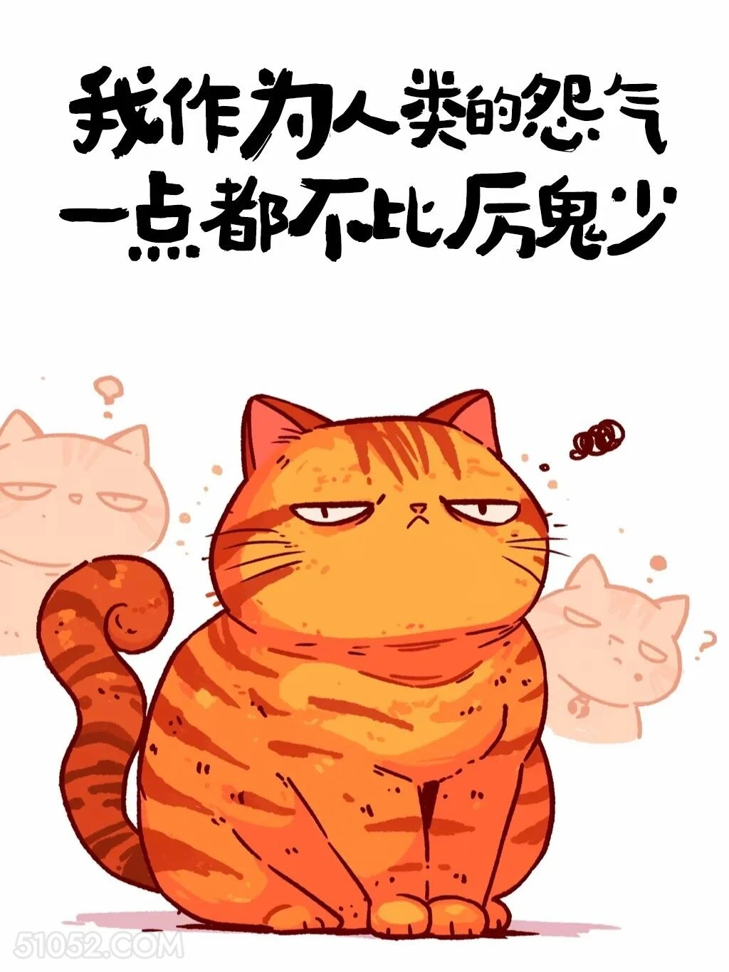 人类的怨气一点不比厉鬼少 猫猫 发朋友圈 搞笑文案