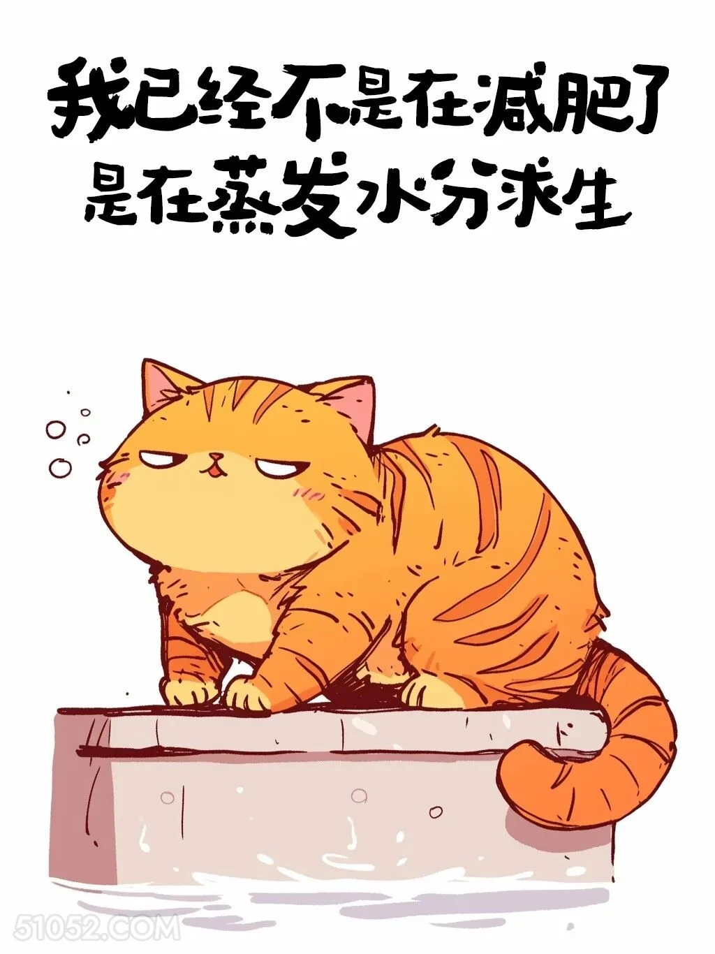 我已经不是在减肥，是在蒸发水分求生 猫猫 好热 发朋友圈 搞笑文案