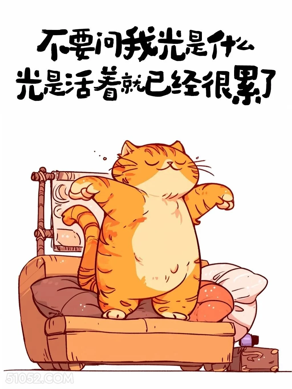 不要问光是什么，光是或者就已经很累了 猫猫 发朋友圈 搞笑文案
