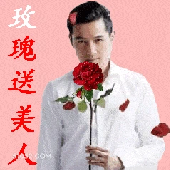 玫瑰送美人 胡歌 胡柯 明星 演员 歌手 撩妹