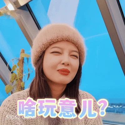 啥玩意儿？ 辛芷蕾 辛蕾 明星 演员