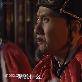 你说什么 大明王朝 影视追剧 搞笑表情
