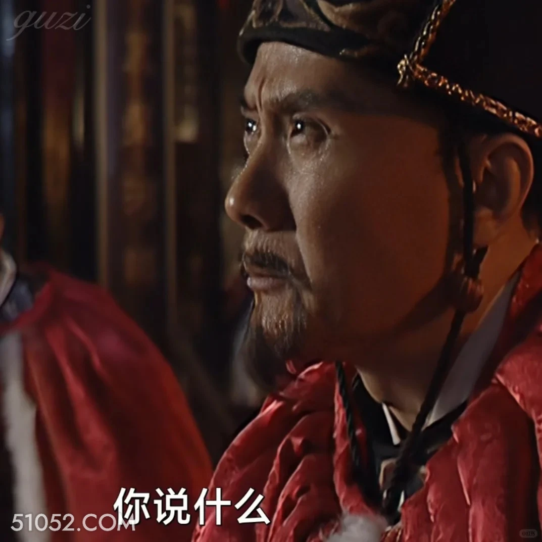 你说什么 大明王朝 影视追剧 搞笑表情