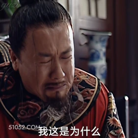我这是为什么 大明王朝 影视追剧 嘉靖时期 搞笑表情