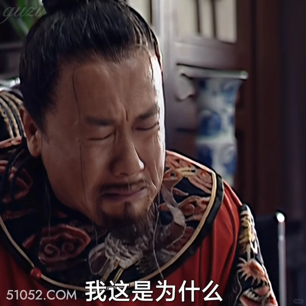 我这是为什么 大明王朝 影视追剧 嘉靖时期 搞笑表情