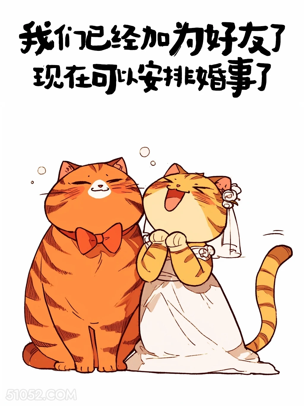 我们已经为好友，可以安排婚事了 猫猫 有趣文案 神段子 搞笑文案