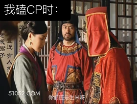 我磕cp时 大明王朝 影视追剧 搞笑表情