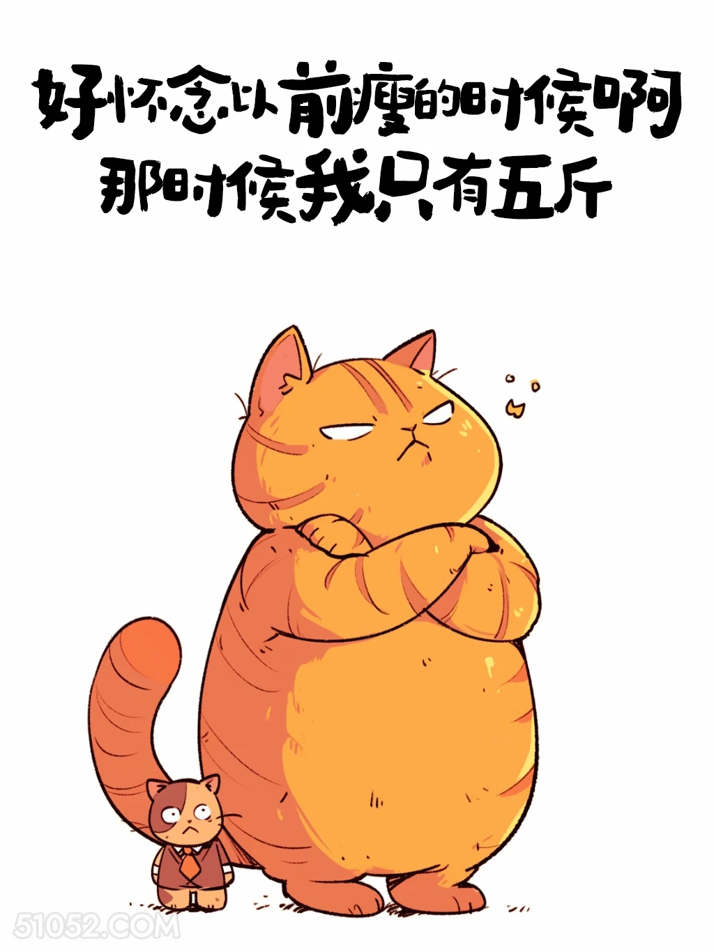 好怀念以前只有五斤的时候 猫猫 有趣文案 神段子 搞笑文案