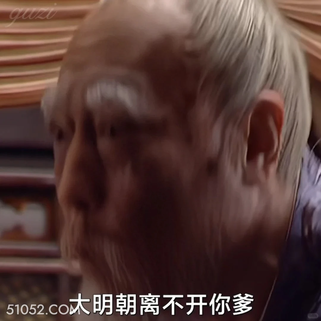 大明朝离不开你爹 大明王朝 影视追剧 搞笑表情 陈宝国