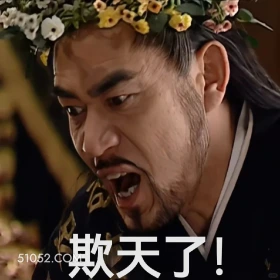 欺天了 大明王朝 影视追剧 搞笑表情