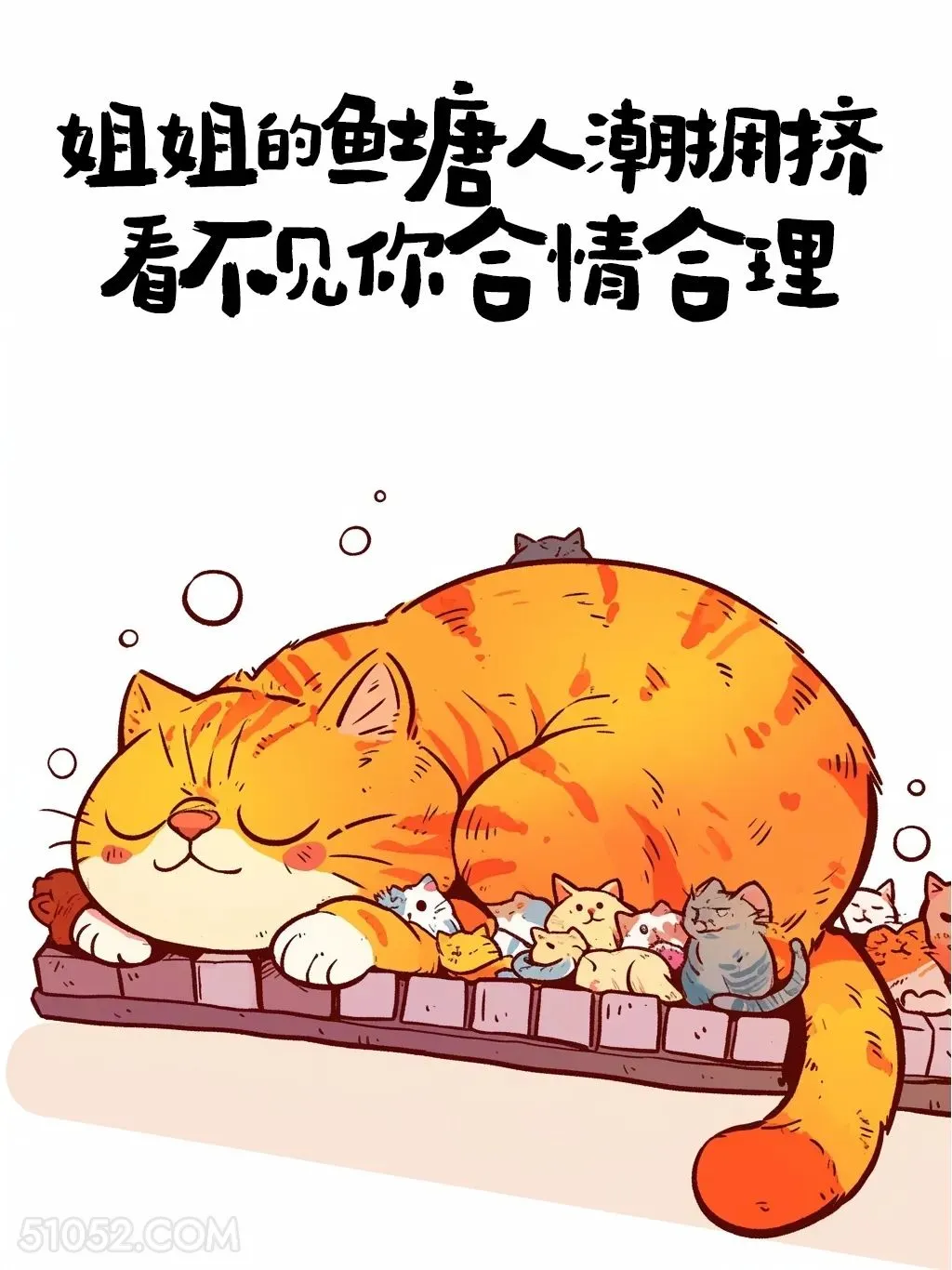 我的鱼塘人潮拥挤，看不见你合情合理 猫猫 很拽 搞笑文案
