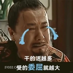 干的活越多,受的委屈越大 大明王朝 影视追剧 搞笑表情