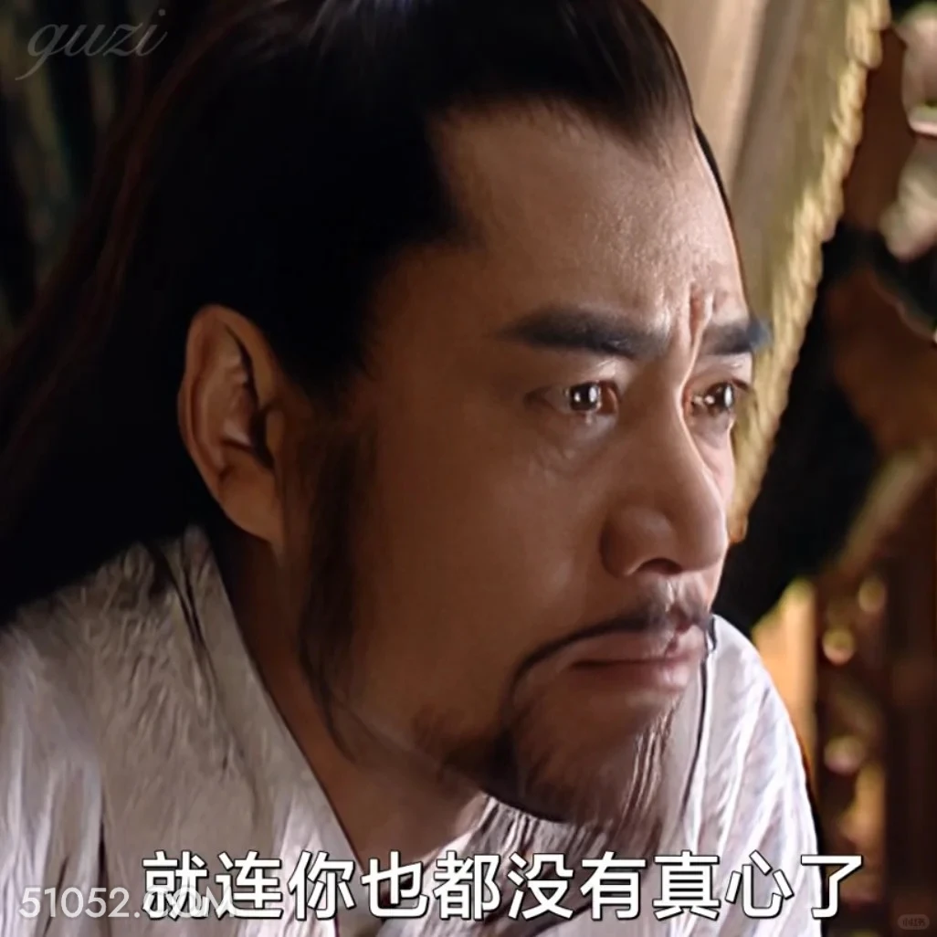 就连你也没有真心了 大明王朝 影视追剧 搞笑表情 陈宝国