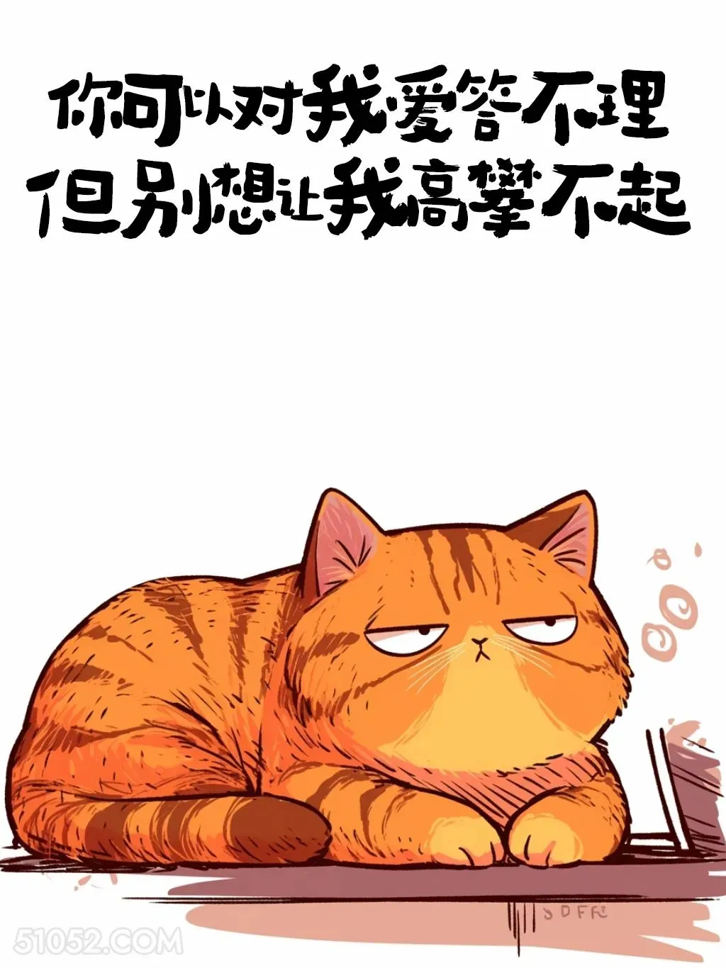 你可以对我爱答不理，但别想让我高攀不起 猫猫 很拽 搞笑文案