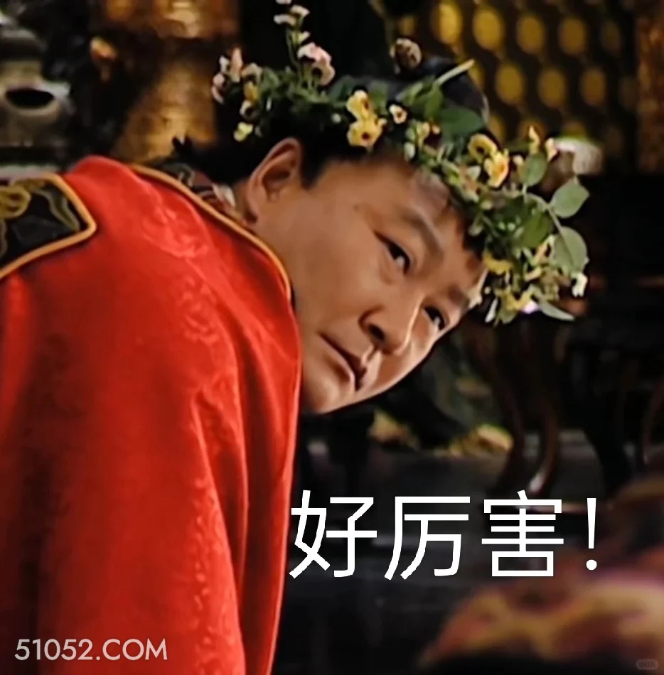 好厉害 大明王朝 影视追剧 嘉靖时期 搞笑表情