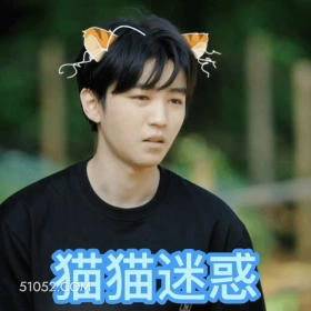 猫猫疑惑 王俊凯 明星 演员 歌手 疑惑 可爱