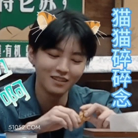 猫猫碎碎念 王俊凯 明星 演员 歌手 碎碎念