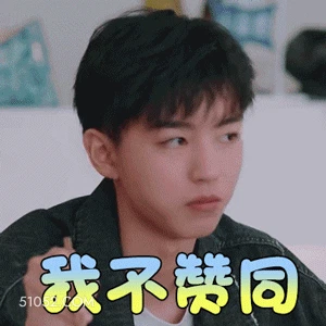 我不赞同 王俊凯 明星 演员 歌手 摇头