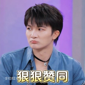 狠狠赞同 周深 周星星 明星 歌手 赞同