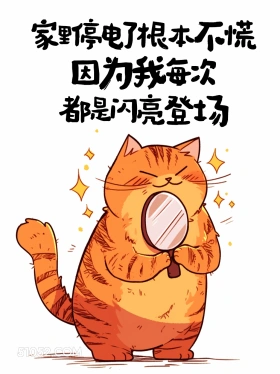 家里停电了不慌，因为我闪亮登场 猫猫 有梗 搞笑文案