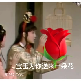 宝玉为你送来一朵花 红楼梦 影视追剧 林黛玉 搞笑表情