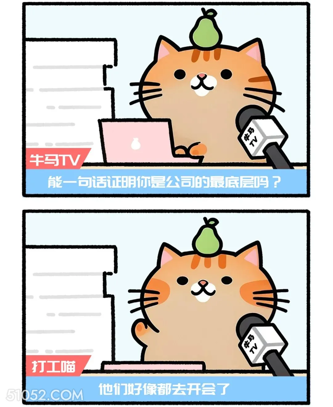 一句话证明你是公司最底层？他们都去开会了 猫猫 神回复 搞笑文案