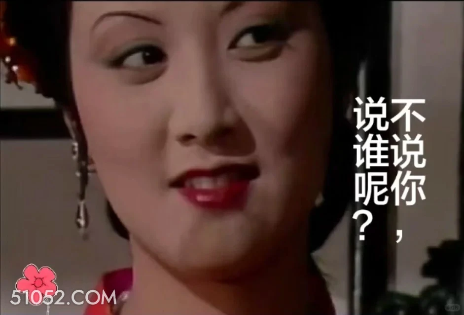 不说你说谁呢 红楼梦 影视追剧 搞笑表情 王熙凤